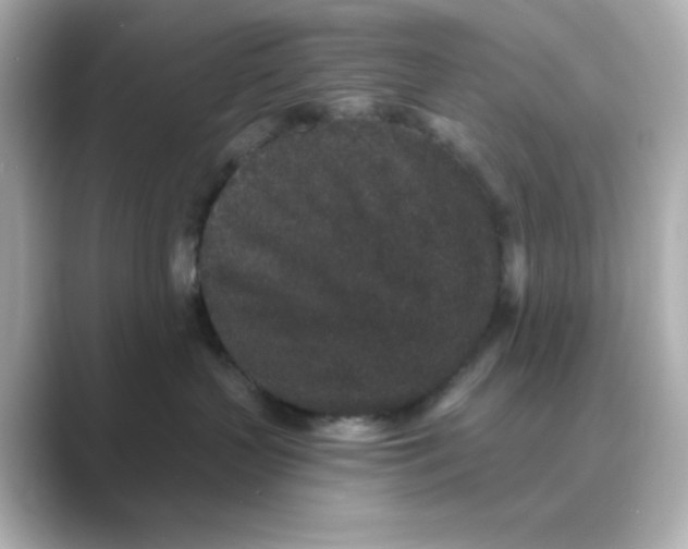 X0000088670383200706211855