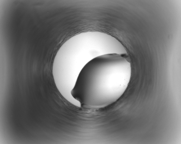 X0000088670384200706211855