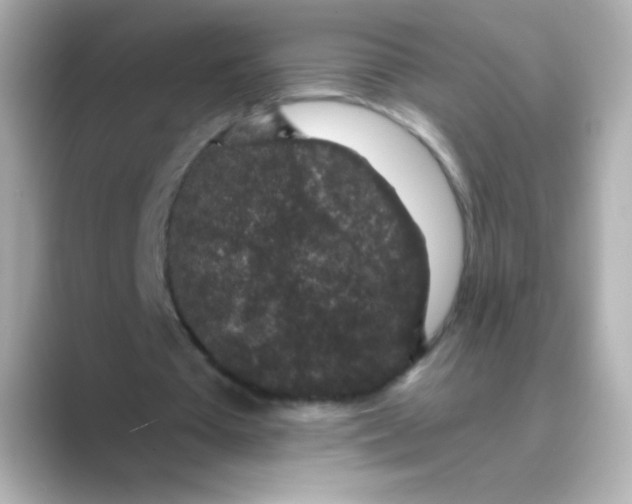 X0000088670385200706211855
