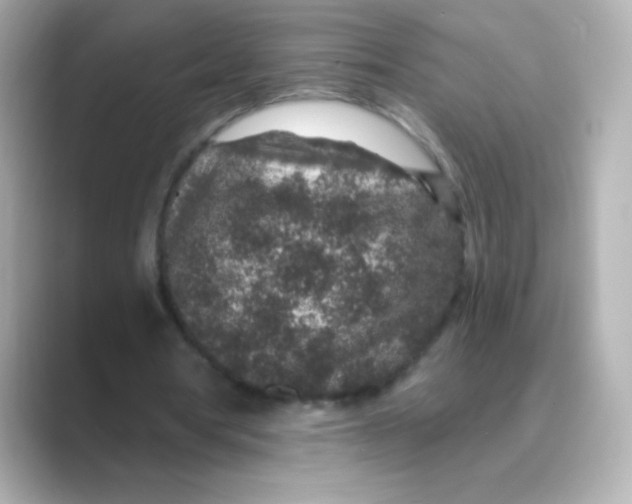 X0000088670386200706211855