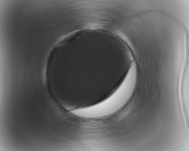 X0000088670387200706211855