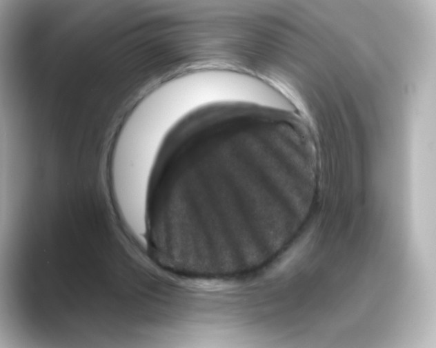 X0000088670389200706211855