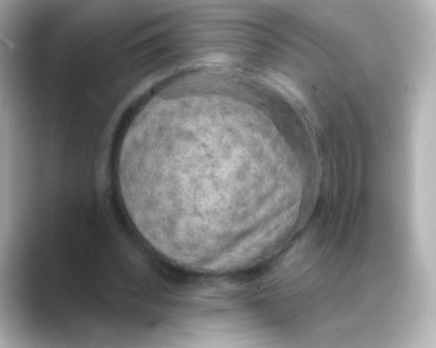 X0000088670392200706211854