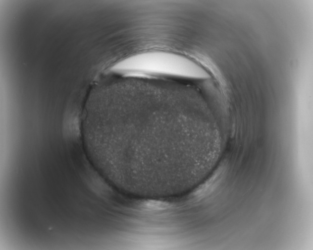 X0000088670393200706211854