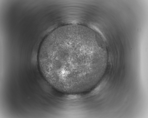 X0000088670394200706211854
