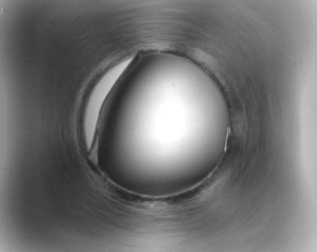 X0000088670395200706211854