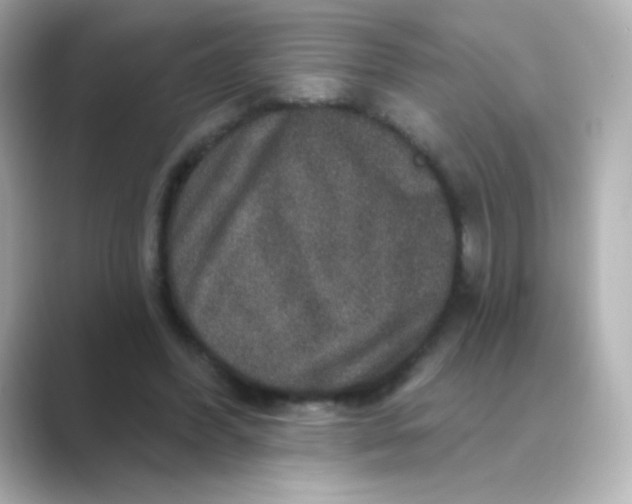 X0000088670396200706211854