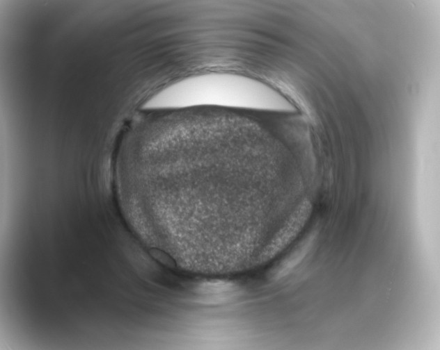 X0000088670397200706211854