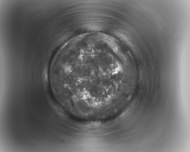 X0000088670398200706211854