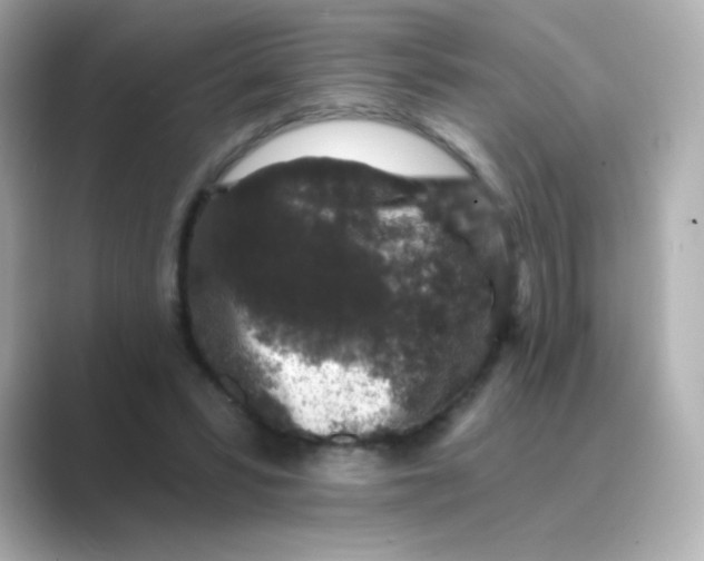 X0000088670399200706211854