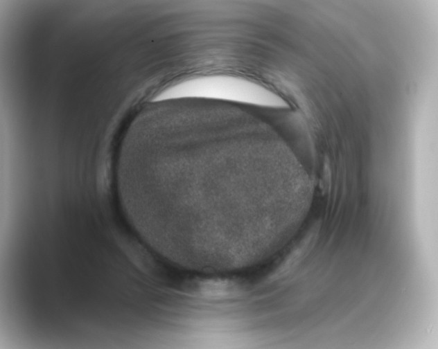 X0000088670400200706211854