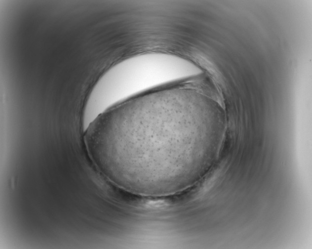 X0000088670401200706211854