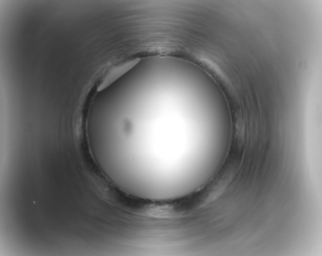 X0000088670403200706211854