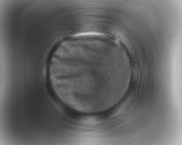 X0000088670404200706211854