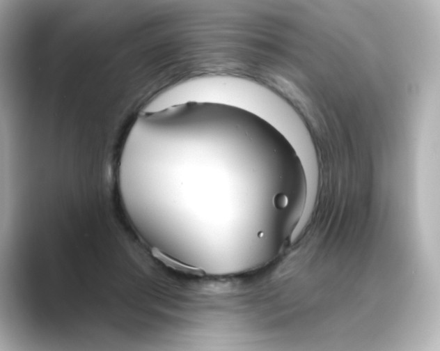 X0000088670405200706211854