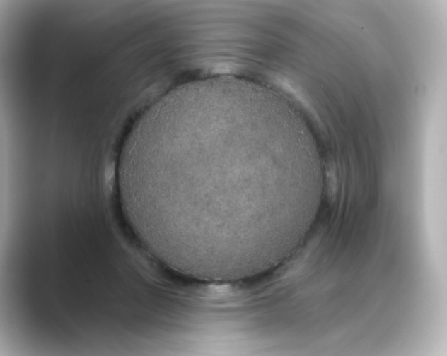 X0000088670406200706211854