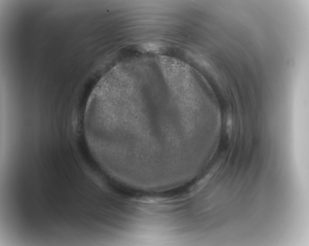 X0000088670408200706211854