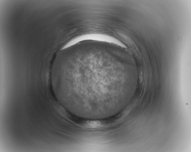 X0000088670409200706211854
