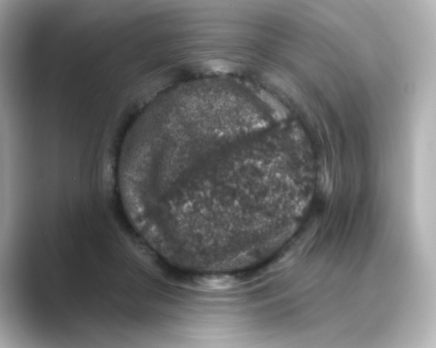 X0000088670410200706211854