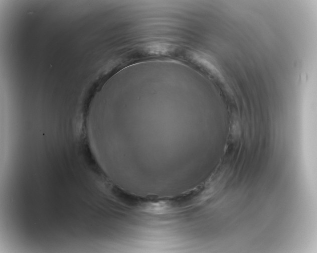 X0000088670411200706211854