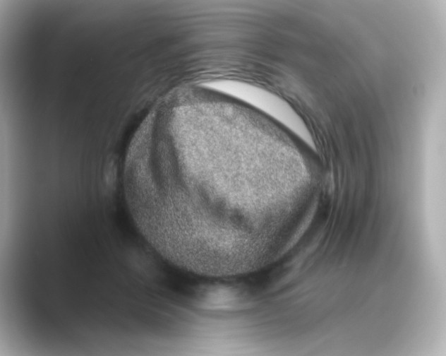 X0000088670412200706211854