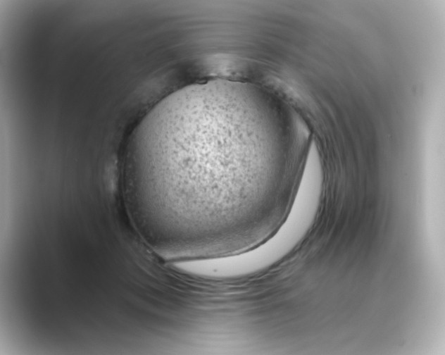 X0000088670413200706211854