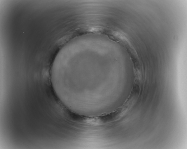 X0000088670415200706211854