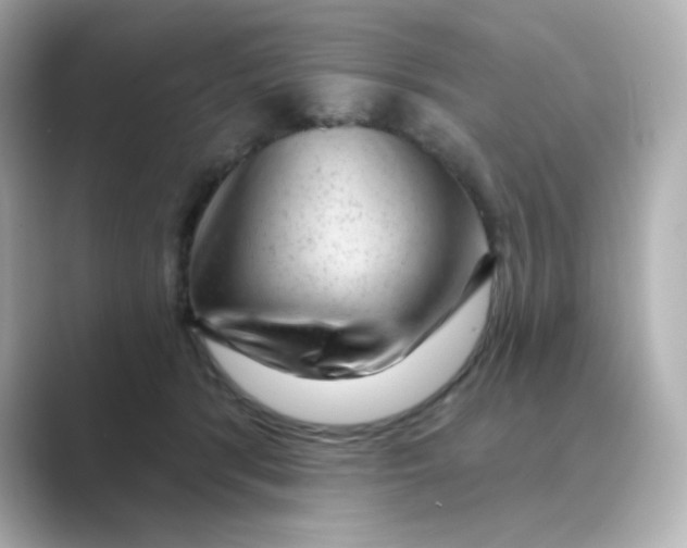 X0000088670416200706211854