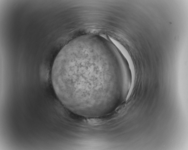 X0000088670417200706211854