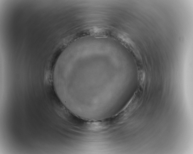 X0000088670419200706211854