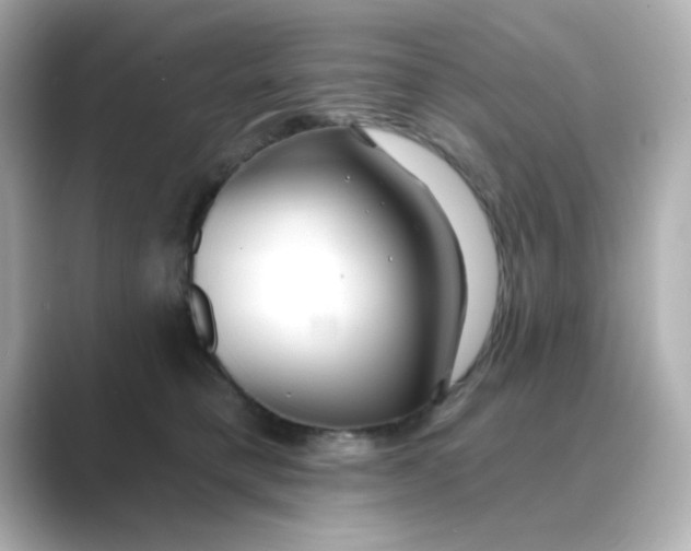 X0000088670421200706211854