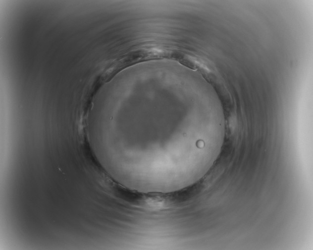 X0000088670423200706211854