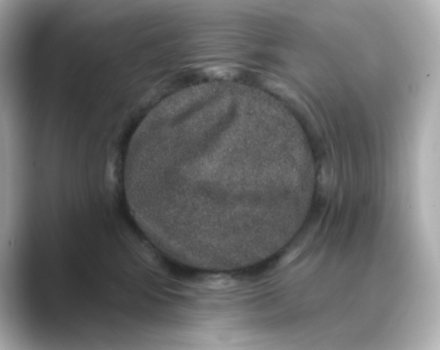 X0000088670424200706211854