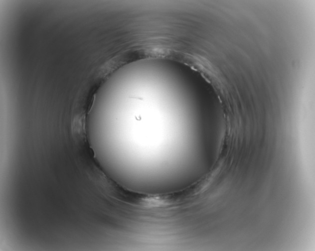 X0000088670425200706211854
