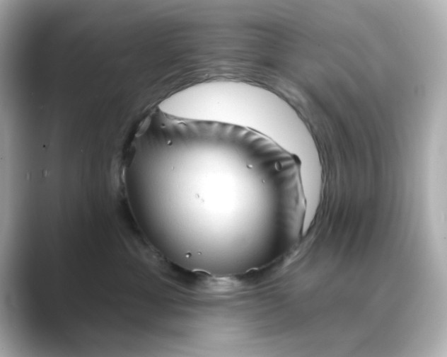 X0000088670429200706211854