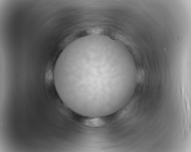 X0000088670431200706211854