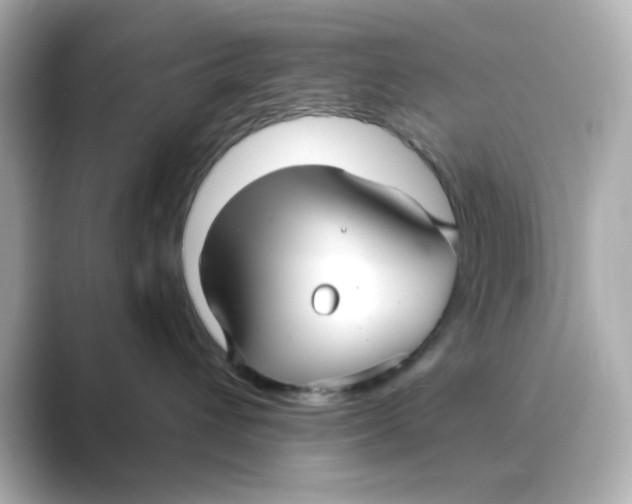 X0000088670432200706211854