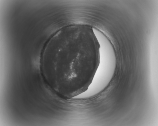 X0000088670434200706211853