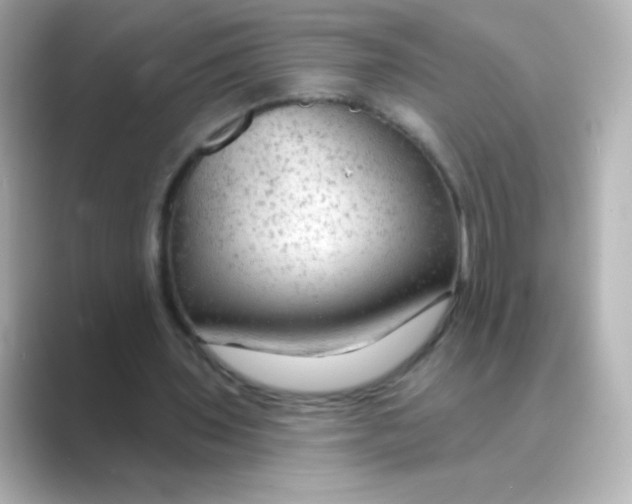 X0000088670435200706211853