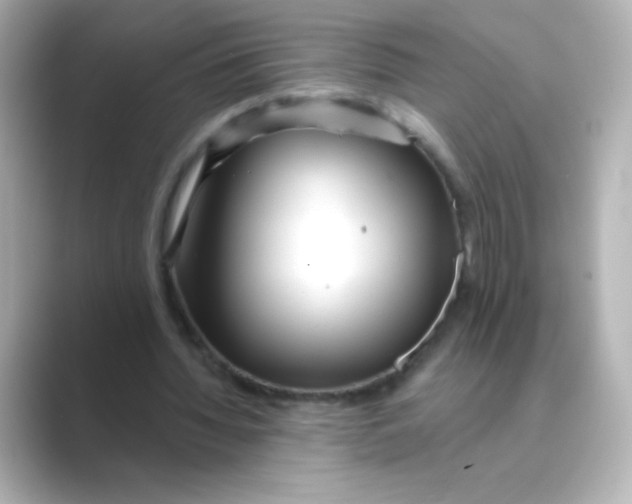 X0000088670436200706211853