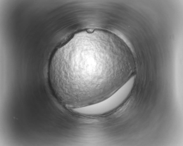 X0000088670437200706211854