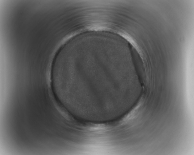 X0000088670438200706211854