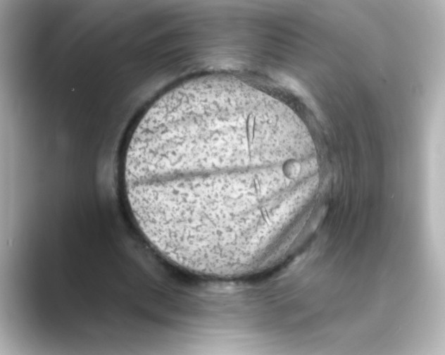 X0000088670439200706211854