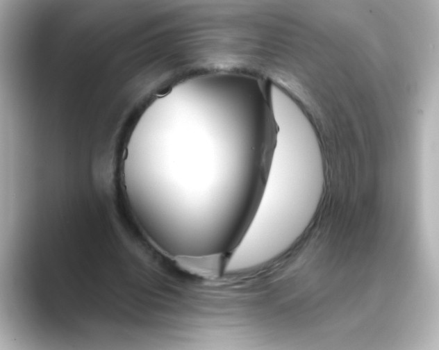 X0000088670440200706211854