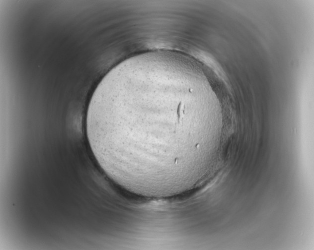X0000088670441200706211854