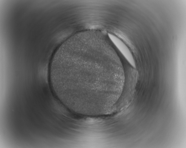 X0000088670442200706211854
