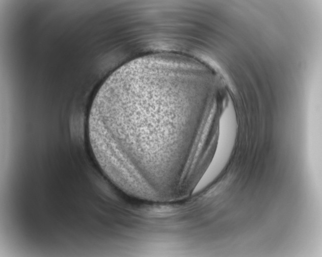 X0000088670445200706211854