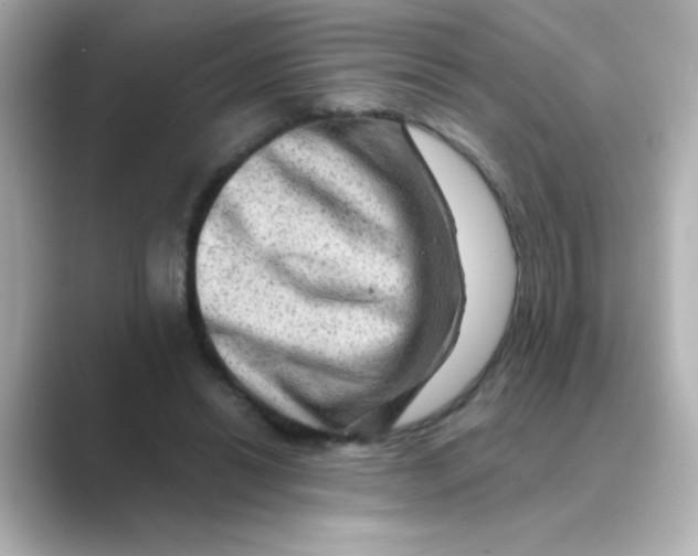 X0000088670446200706211854