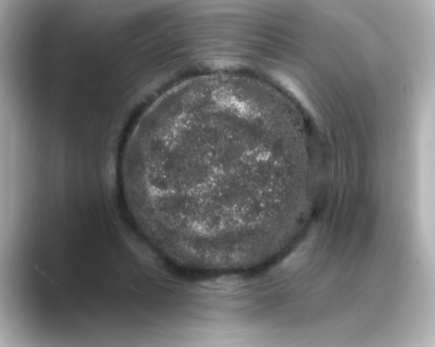 X0000088670447200706211854