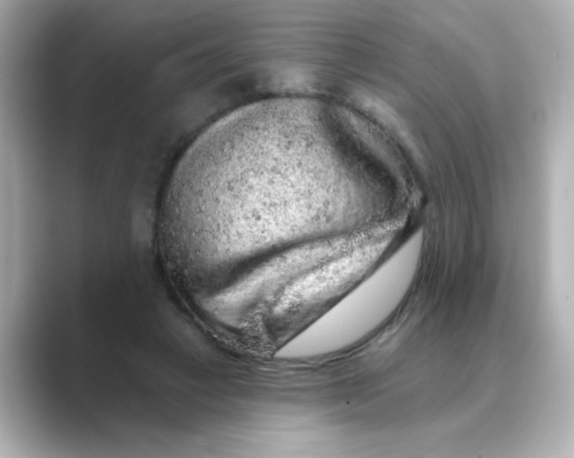 X0000088670449200706211854